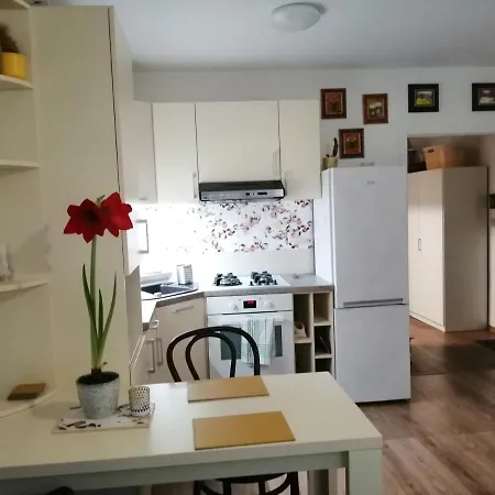 Slávik Appartamento *